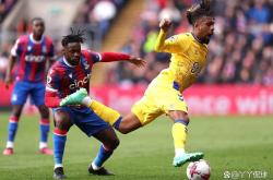 开云体育-水晶宫主场战胜埃弗顿，保持保级希望的简单介绍