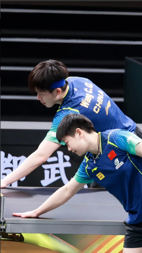 关于韩国乒乓球队血洗奥地利乒乓球队，许昕高光表现的信息