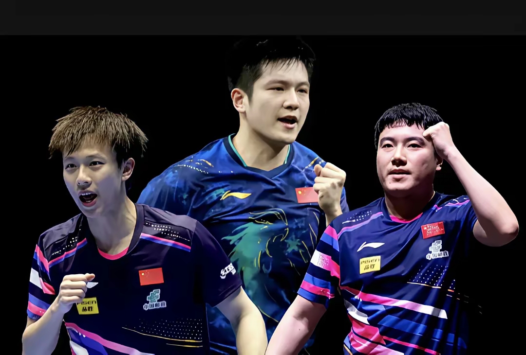 中国队绝杀德国队，梁靖崑状态火热的简单介绍