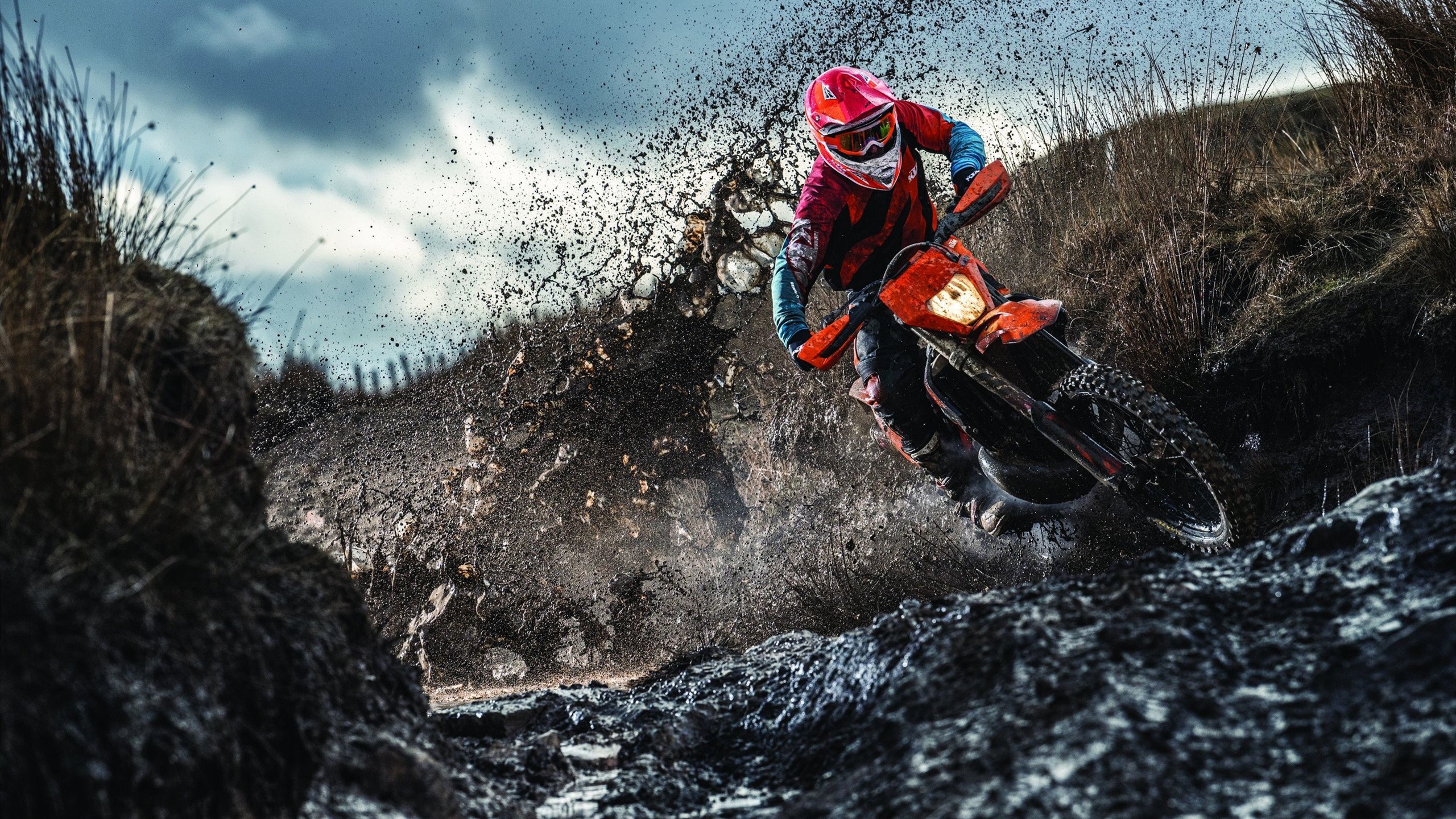 马里单节统治级攻防撕裂勒沃库森，奥利维耶压制级演出定乾坤