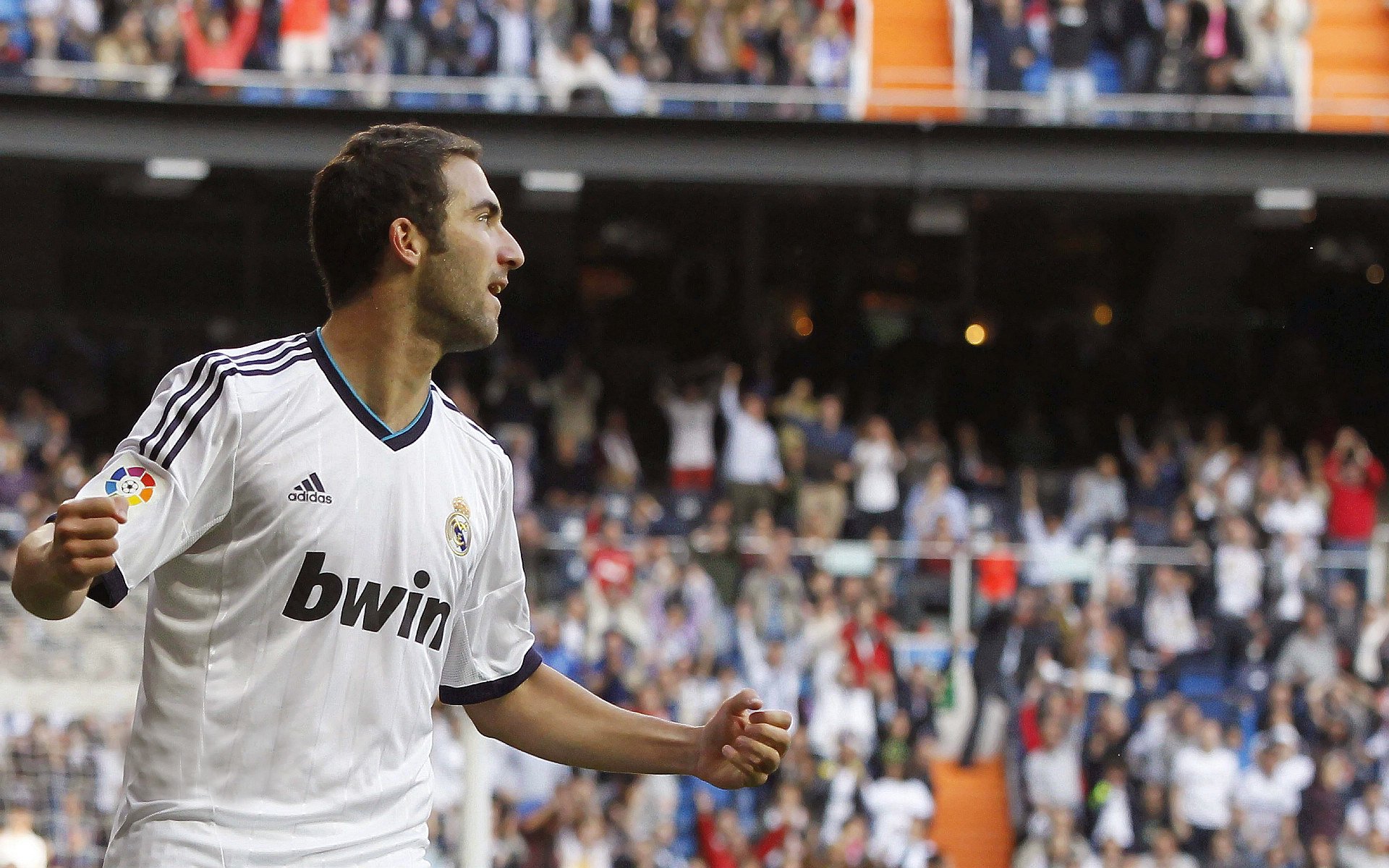 维尼修斯一剑封喉，土耳其战术完胜击溃厄瓜多尔